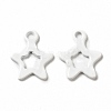 Spray Painted 201 Stainless Steel Charms STAS-G304-29E-1