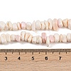 Natural Pink Shell Beads Strands X-SSHEL-L016-19-5