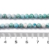 Natural HuBei Turquoise Beads Strands G-B130-A01-03-5