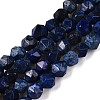 Dyed Natural Lapis Lazuli Beads Strands G-T138-218-4