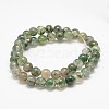 Natural Moss Agate Beads Strands G-F453-8mm-2