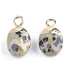 Electroplate Natural Dalmatian Jasper Charms X-G-S344-09C-2