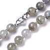 Natural Labradorite Beaded Necklace NJEW-I107-03-3