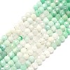 Natural Emerald Quartz Beads Strands G-G106-C09-03-1