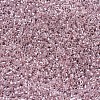 MIYUKI Delica Beads X-SEED-J020-DB0256-3