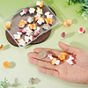 30Pcs 6 Colors Mushroom Themes Resin Display Decorations DJEW-TA0001-27-7