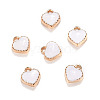 Alloy Enamel Charms LS-ENAM-Q033-51B-1