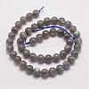 Natural Labradorite Bead Strands G-P259-03-8mm-2