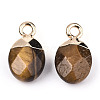 Natural Tiger Eye Charms X-G-N326-58C-3