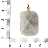 Natural Labradorite Faceted Pendants G-B186-01G-01-3