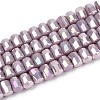 Electroplate Opaque Glass Beads Strands EGLA-N022-09A-C02-1