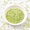 MIYUKI Half TILA Beads SEED-X0054-HTL258-2