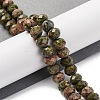 Natural Unakite Beads Strands G-K380-A05-01-2