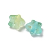 Gradient Color Transparent Acrylic Beads X1-OACR-M023-04C-2