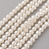 Natural Cultured Freshwater Pearl Beads Strands PEAR-G007-31-1