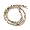 Natural Freshwater Shell Beads Strands SSHEL-B002-15-2