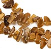 Natural Amber Beads Strands G-P619-A02-01-4
