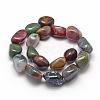 Natural Indian Agate Beads Strands G-P301-14-2