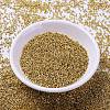 MIYUKI Delica Beads SEED-X0054-DB1832-2