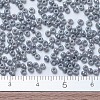 MIYUKI Round Rocailles Beads SEED-G007-RR0489-4