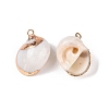 Natural Sea Shell Pendants SSHEL-N038-48-2