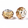 Transparent Resin European Beads LS-RPDL-T003-003-B09-2