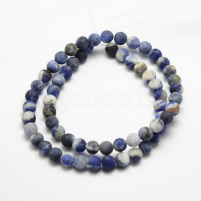 Natural Sodalite Beads Strands G-J364-01-8mm-1