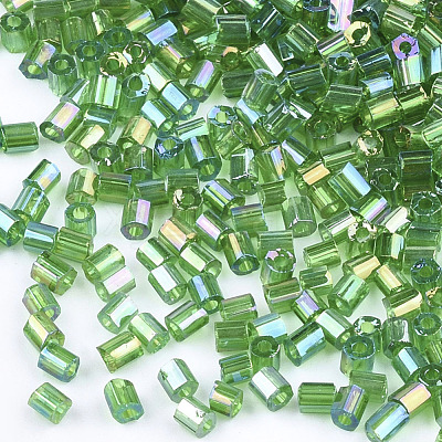FGB Grade A Glass Seed Beads SEED-S022-05G-1