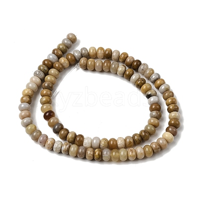 Natural Fossil Coral Beads Strands G-A280-A08-01-1