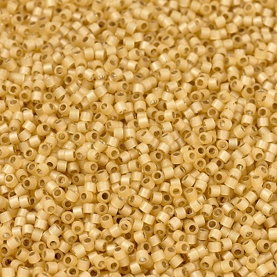 MIYUKI Delica Beads X-SEED-J020-DB2186-1