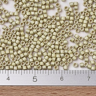 MIYUKI Delica Beads SEED-JP0008-DB1831F-1