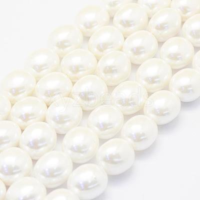 Shell Pearl Beads Strands BSHE-P024-15-1