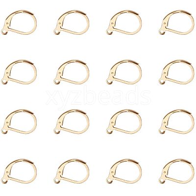 304 Stainless Steel Leverback Earring Findings STAS-PH0018-28G-1