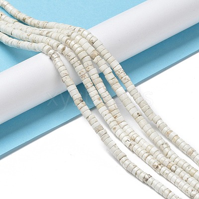 Natural Howlite Beads Strands G-E604-A01-B-1