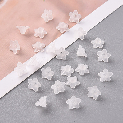 Transparent Acrylic Beads PL554-1