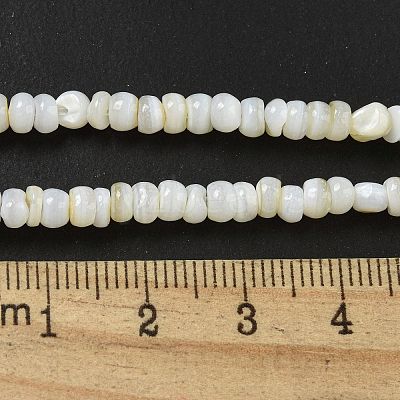 Dyed Natural Freshwater Shell Beads Strands X1-BSHE-G039-07N-1