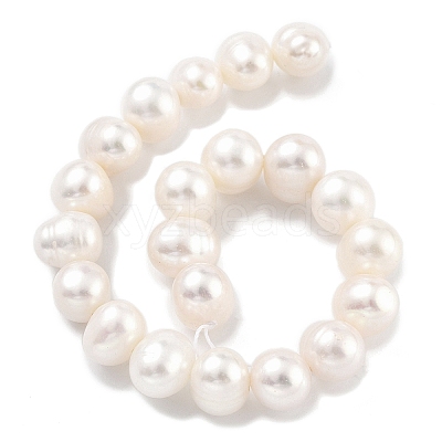 Natural Cultured Freshwater Pearl Beads Strands PEAR-C003-19C-1