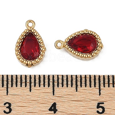 Ion Plating(IP) 304 Stainless Steel Micro Pave Cubic Zirconia Charms STAS-K256-20G-07-1