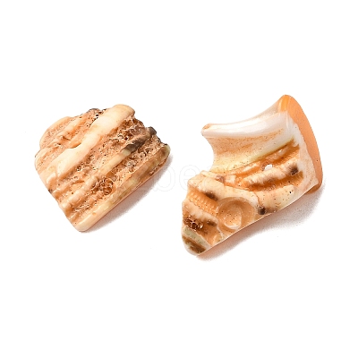 Natural Shell Bead Strands BSHE-P010-06-1