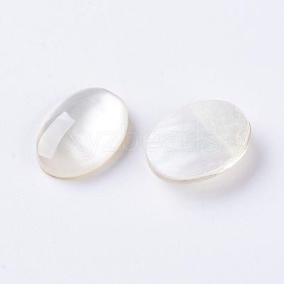 Shell Cabochons X-G-L470-15-1