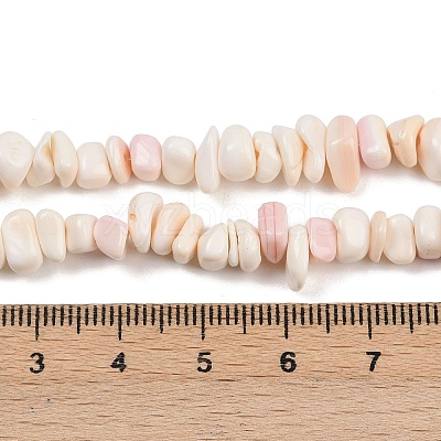 Natural Pink Shell Beads Strands X-SSHEL-L016-19-1