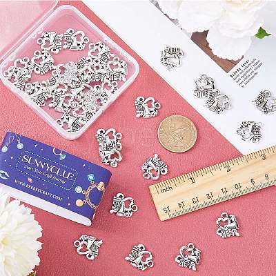 60Pcs Tibetan Style Alloy Message Charms FIND-SC0007-14-1