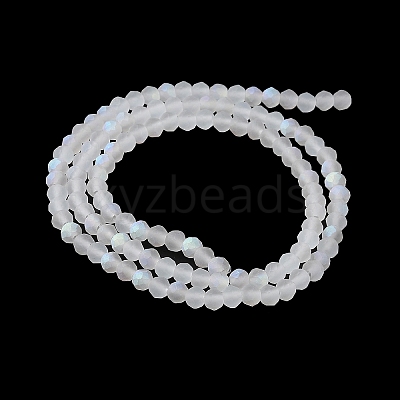 Transparent Glass Beads Strands LS-EGLA-A044-T2mm-MB19-1