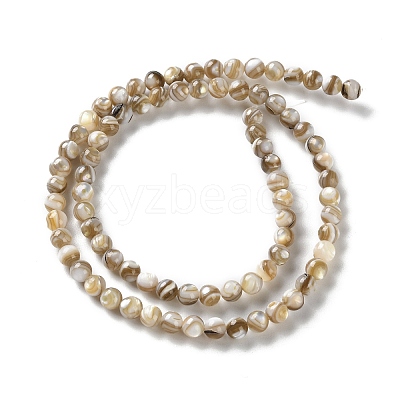 Natural Freshwater Shell Beads Strands SSHEL-B002-15-1