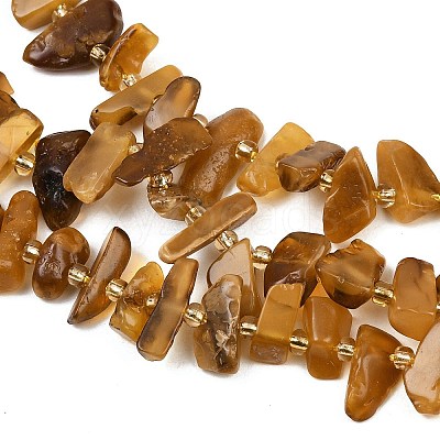 Natural Amber Beads Strands G-P619-A02-01-1