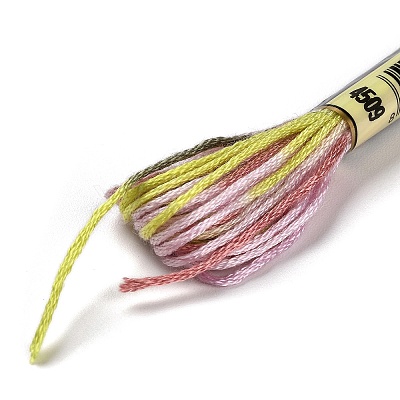 10 Skeins 6-Ply Polyester Embroidery Floss OCOR-K006-A43-1