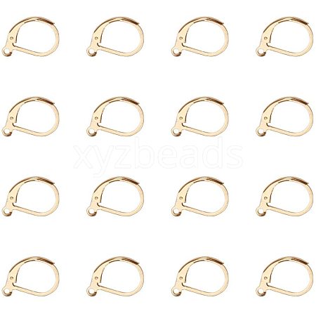 304 Stainless Steel Leverback Earring Findings STAS-PH0018-28G-1