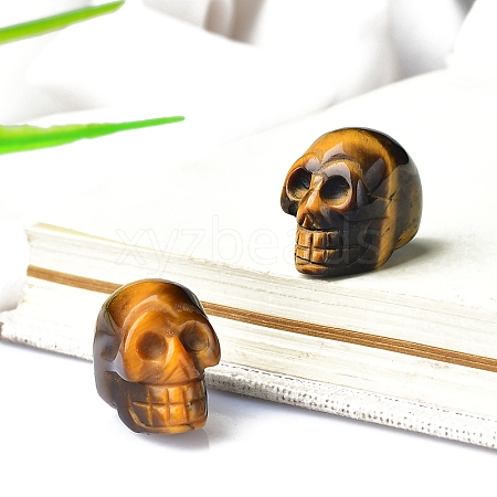 Natural Tiger Eye Skull Display Decorations PW-WG24213-11-1