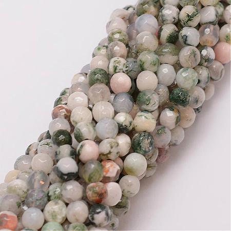 Natural Tree Agate Bead Strands G-G882-6mm-E02-1