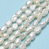 Natural Cultured Freshwater Pearl Beads Strands PEAR-A005-15-2